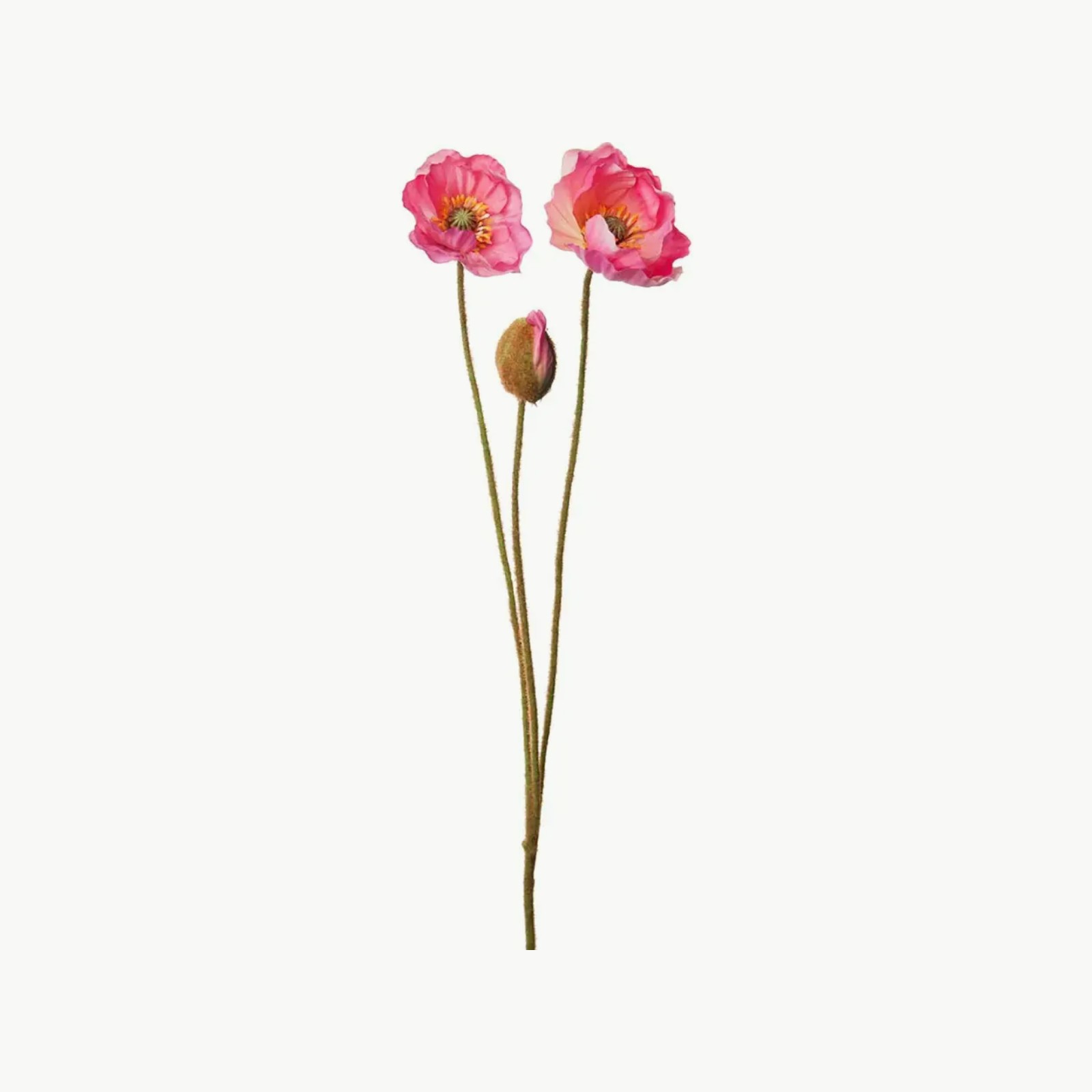 Mr. Plant Valmue 75cm Rosa