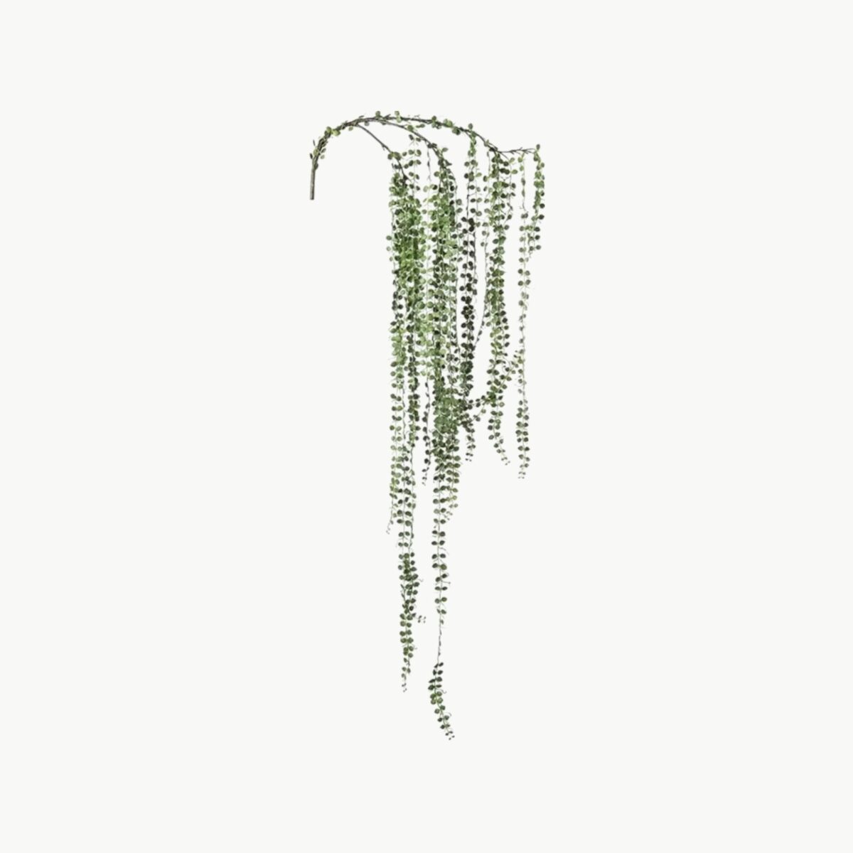 Kunstig hengende Senecio plante 110 cm med lange grønne ranker