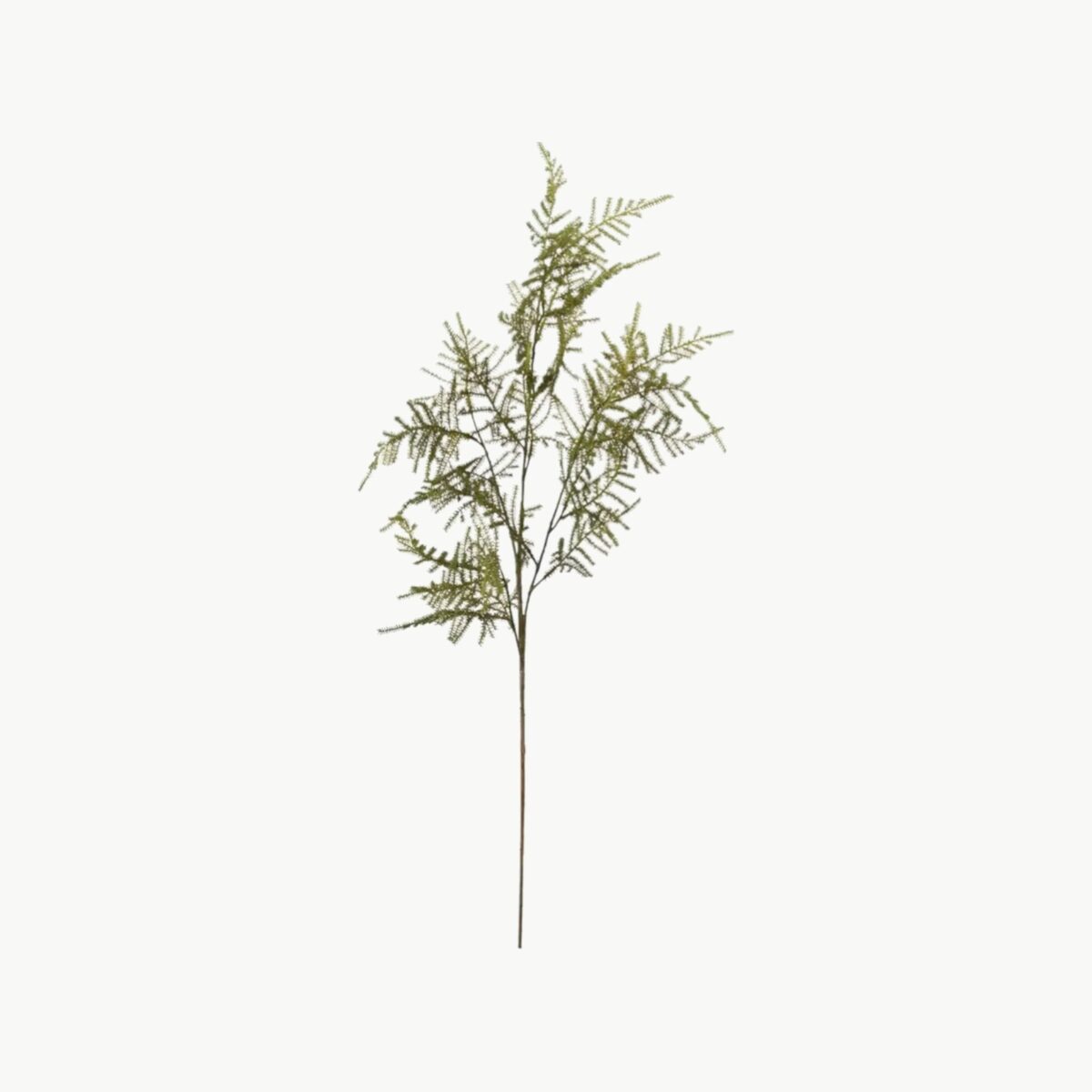 Kunstig asparagus plante i grønn farge med naturtro blader