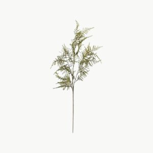 Kunstig asparagus plante i grønn farge med naturtro blader