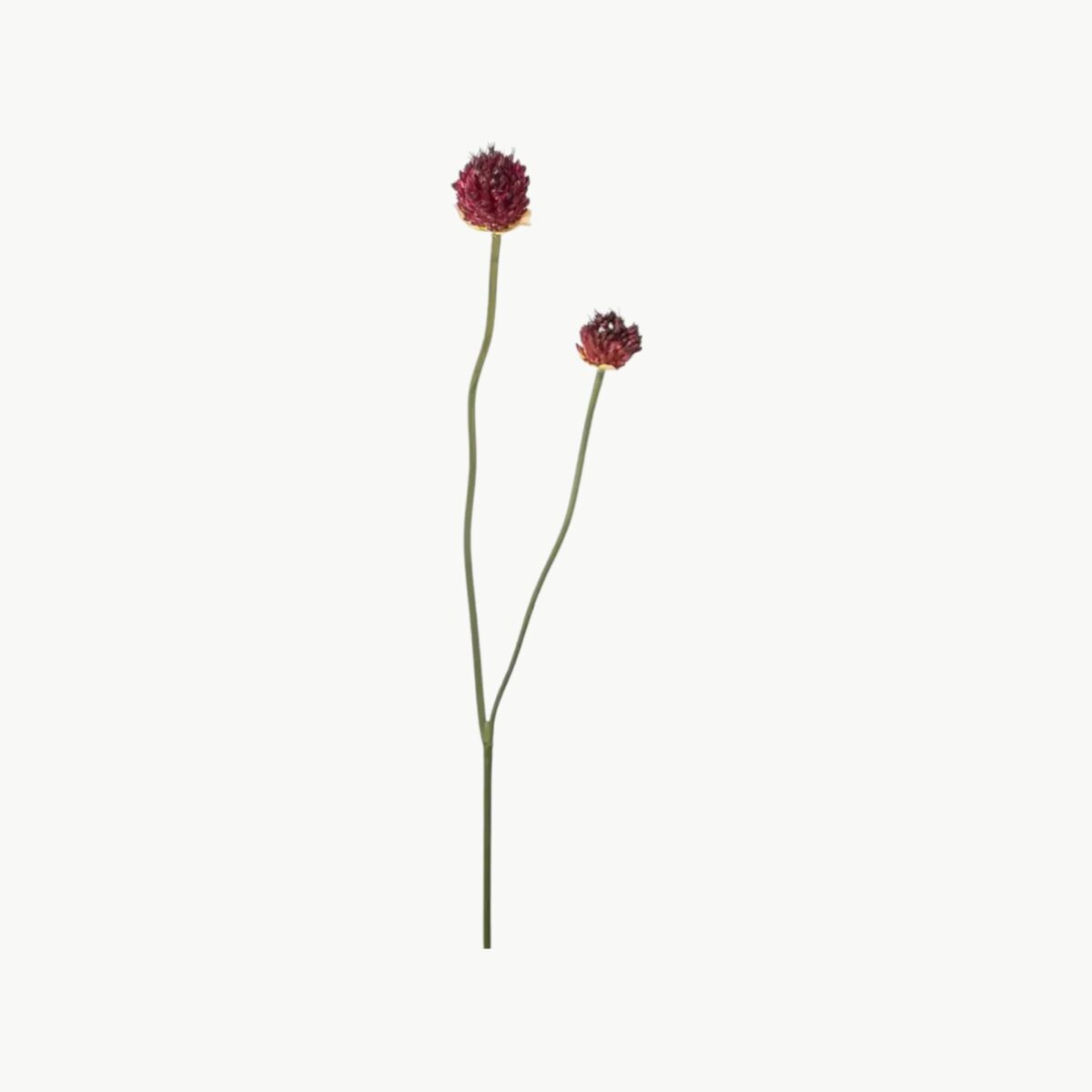 Kunstig kløverblomst i burgunder med sfærisk blomsterform