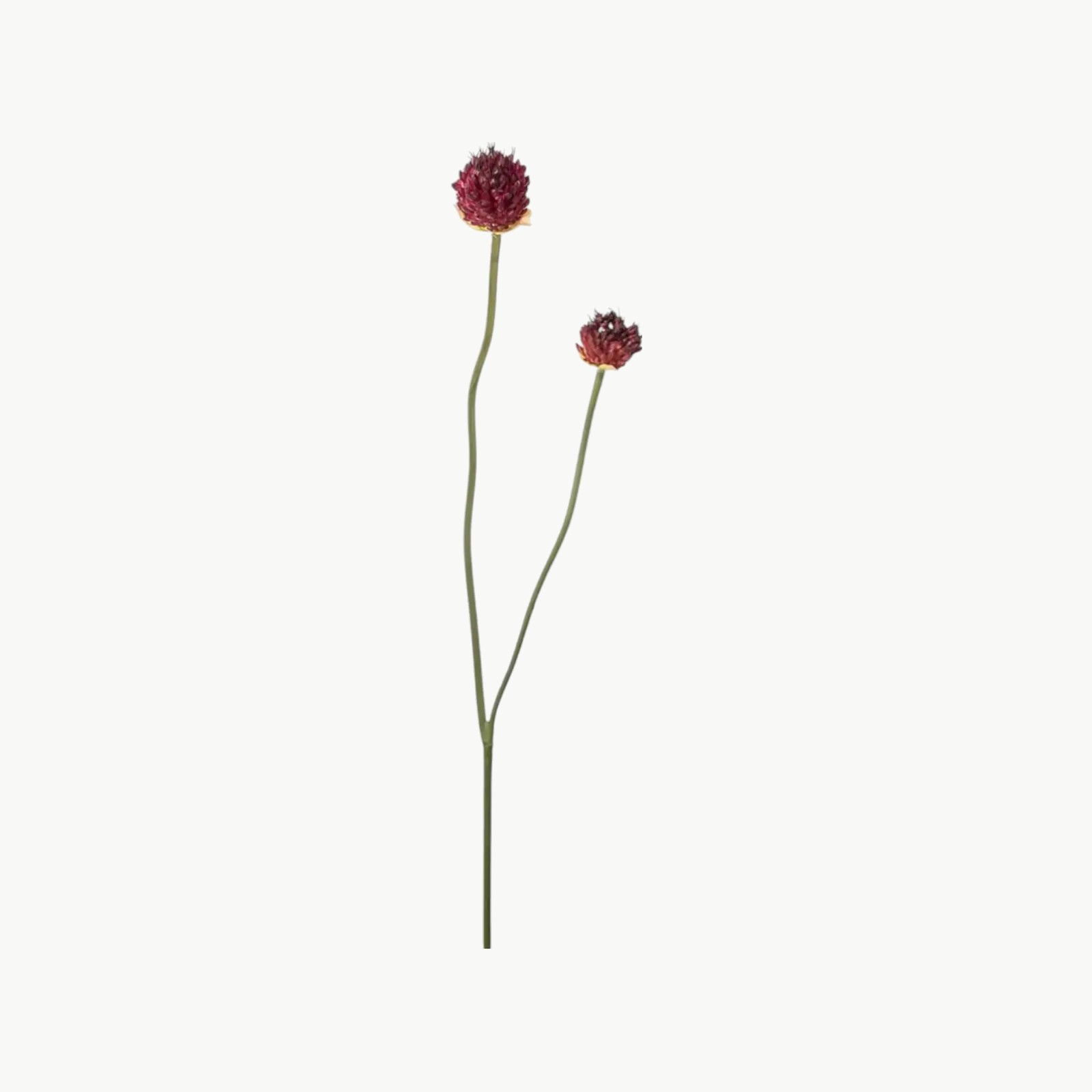 Kunstig kløverblomst i burgunder med sfærisk blomsterform