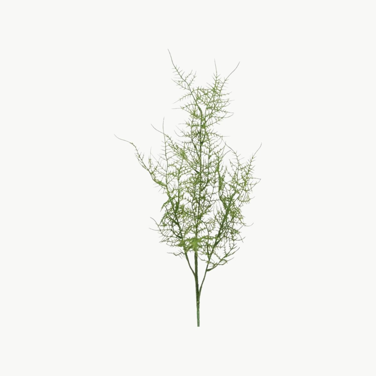 Kunstig grønn Plumosus gren 70 cm med fin og luftig struktur