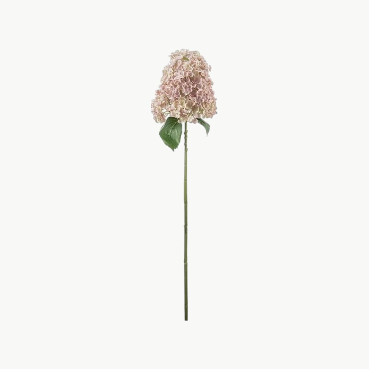 Syrénhortensia i rosa farge med lang stilk, 84 cm høy
