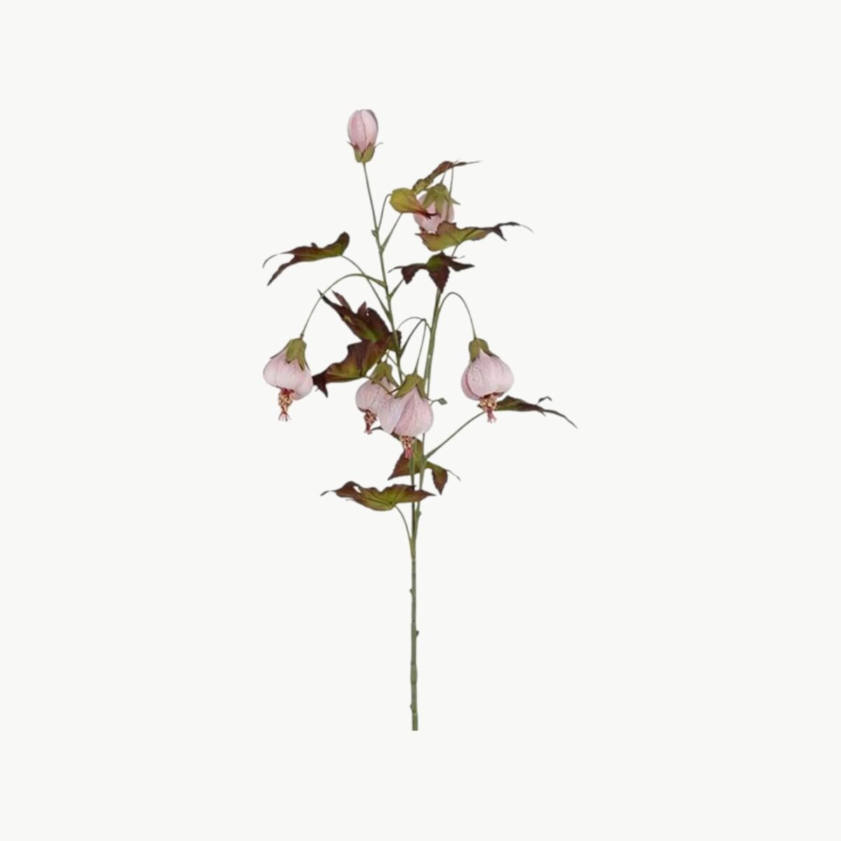 Blomsterlønn i rosa farge med hengende blomster på stilk, 83 cm høy