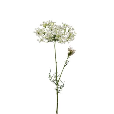 Mr. Plant Allium 70cm Hvit