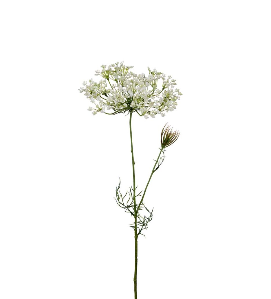 Mr. Plant Allium 70cm Hvit