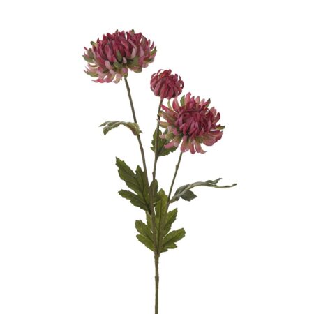 Mr. Plant Chrysanthemum 60cm Mørk Rosa