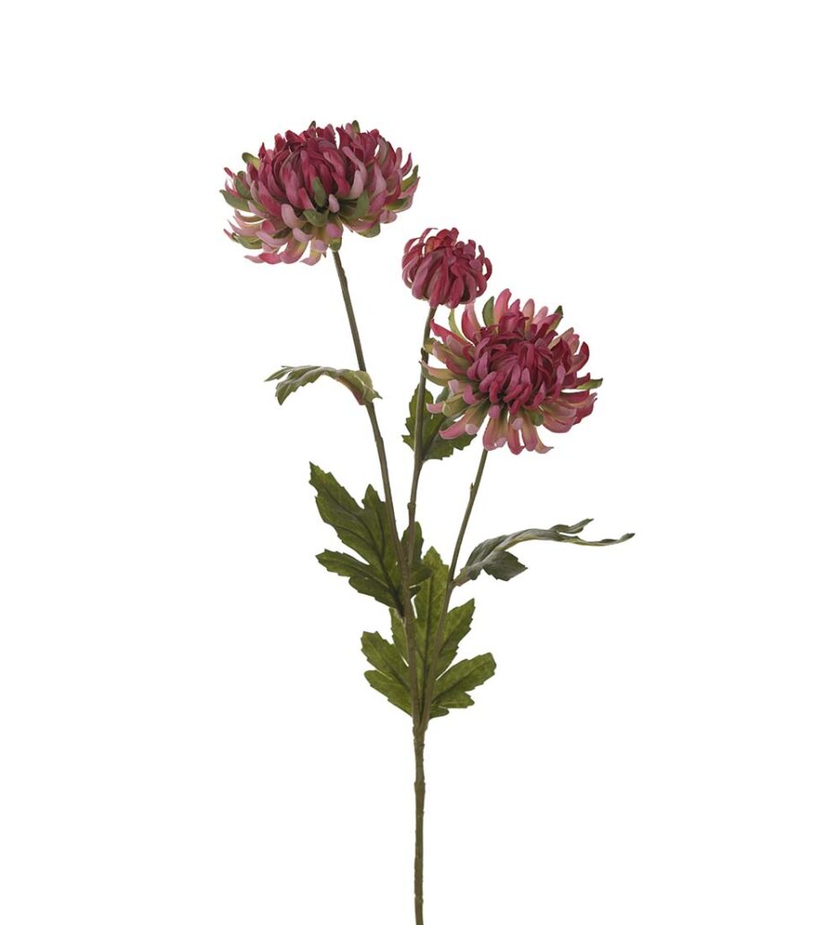 Mr. Plant Chrysanthemum 60cm Mørk Rosa