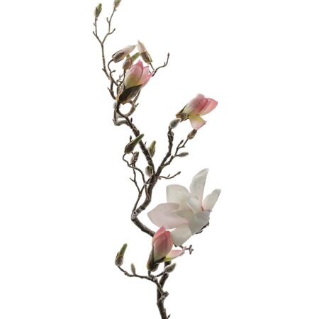 Mr.-Plant-Magnolia-135cm-Rosa-MR6175-20