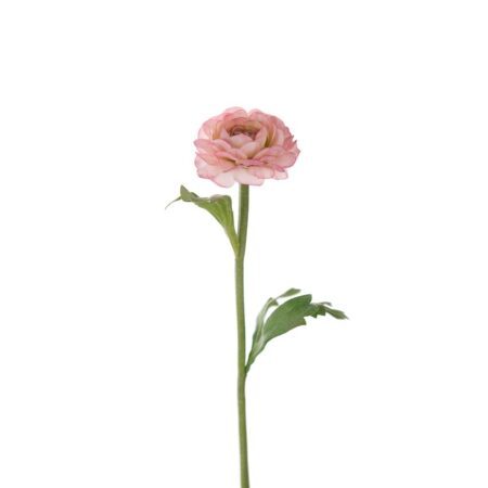 Mr. Plant Ranuncel 35cm Rosa