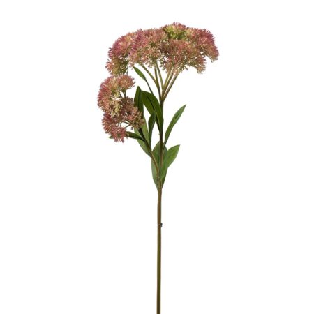 Mr. Plant Sedum 65cm Grønn